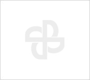 2024年LETOU乐投电气温室气体排放核查报告